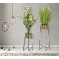 P/VASI COPPIA EXY 37x76 - 27x51 cm